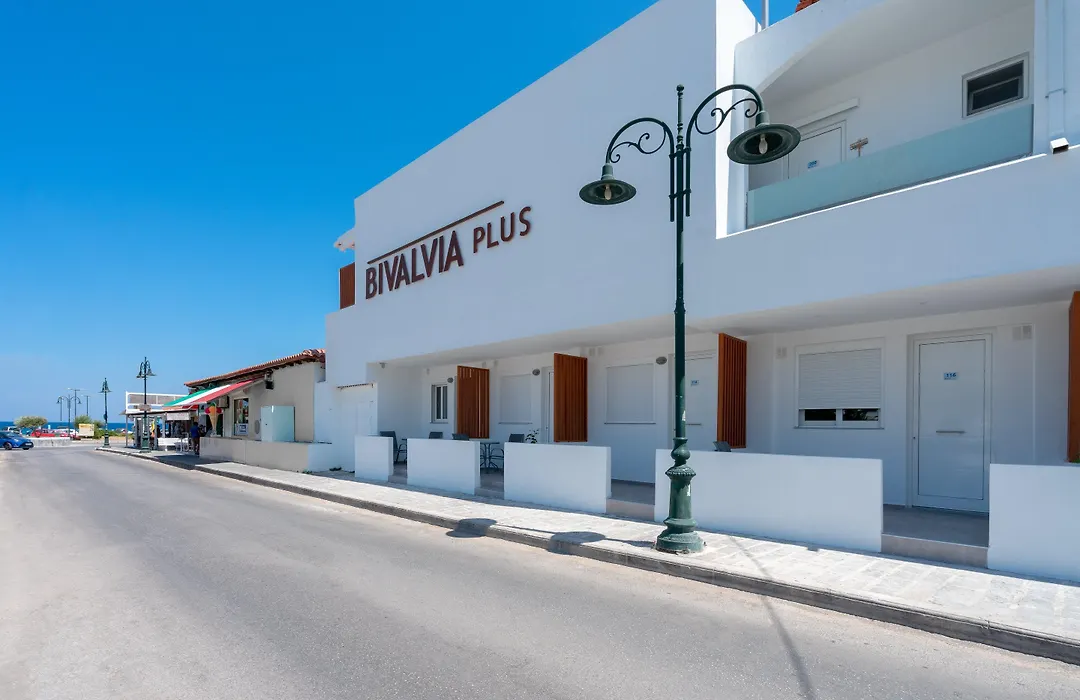 Bivalvia Beach Plus-1