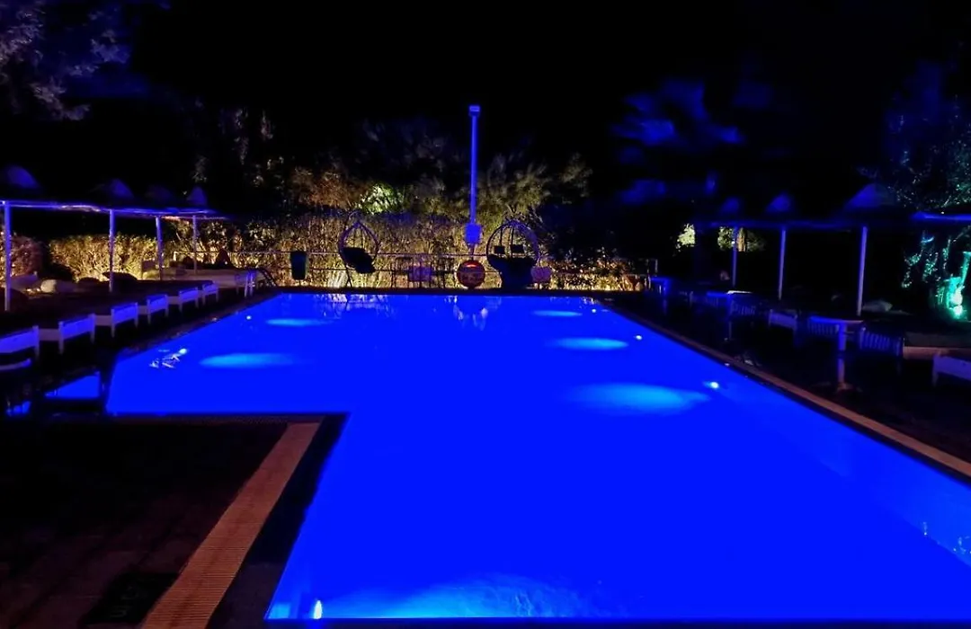 Pine Trees Art Hotel-1