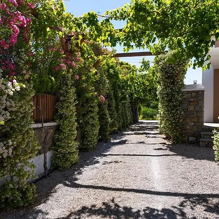 Horizon Line Villas-3