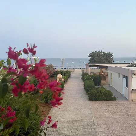 Amaryllis Front Beach Hotel-2