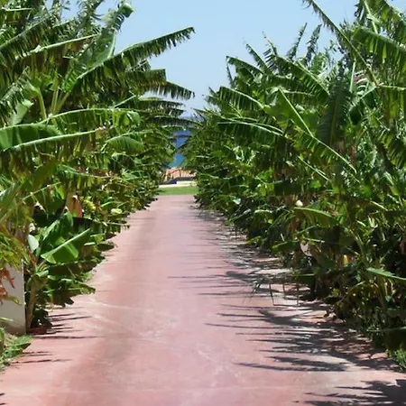 Alfa Hotel-2