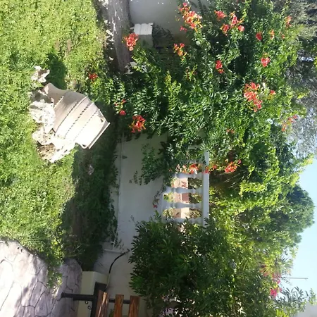 Faliraki Mike'S House Hotel-2