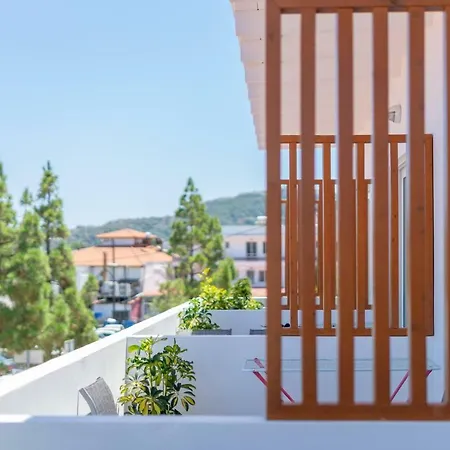Bivalvia Beach Plus-2