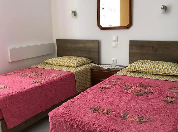 Huisdiervriedelijke Chrysanthi'S Appartement Faliraki