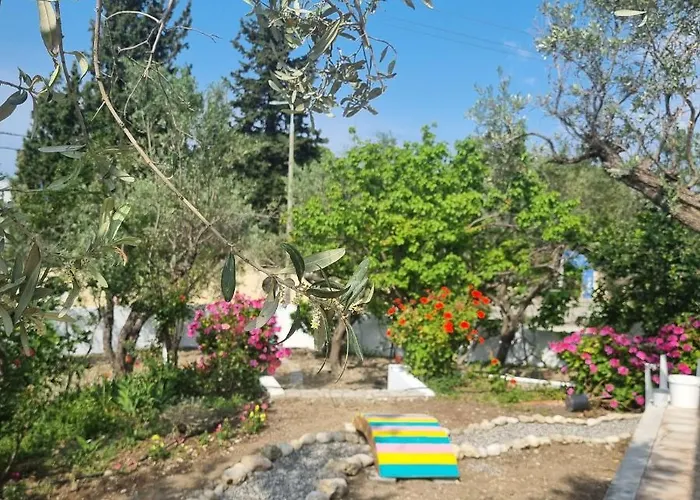 Huisdiervriedelijke Arocaria - Faliraki Peaceful Apartments