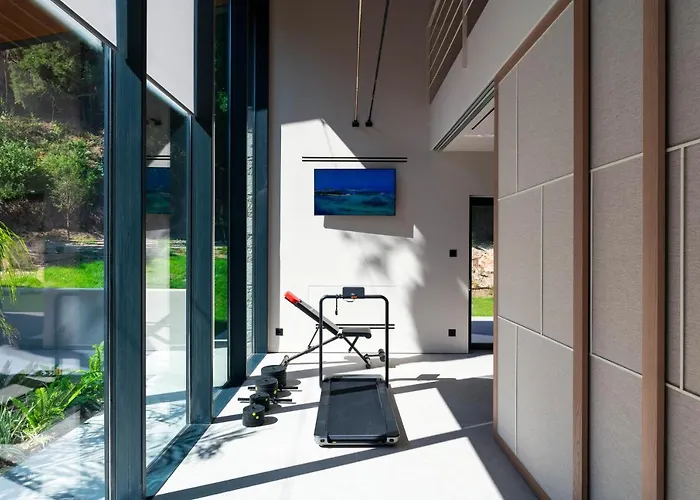 Pet friendly Villa Casa Palmera Ixia 