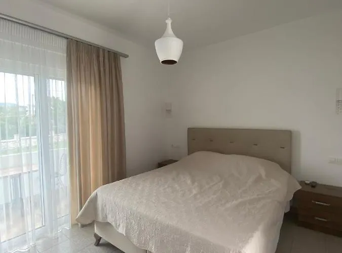Pet friendly Leventis Studios 1 Faliraki