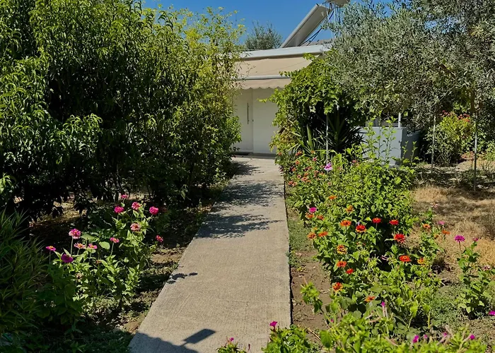 Pension Zoi Kolymbia