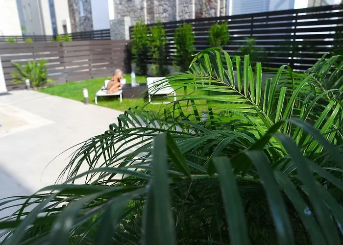 Pet friendly Ixia Breeze 1 Villa